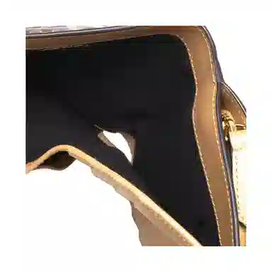 FENDI FF