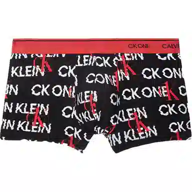 CKCalvin Klein Logo 1