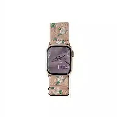 Akkerds Apple watch
