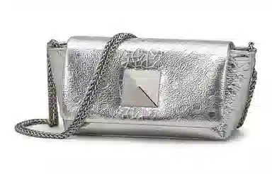 COMELY Small Chain Bag Silver