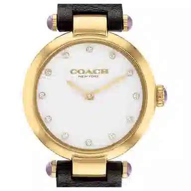COACHCARY 14504014