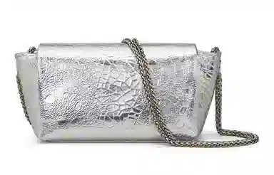 COMELY Small Chain Bag Silver