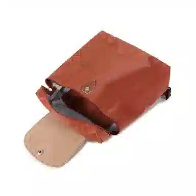 LONGCHAMP Le Pliage Green