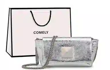 COMELY Small Chain Bag Silver