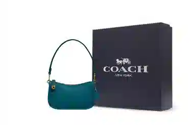 COACH Swinger 20