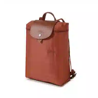 LONGCHAMP Le Pliage Green