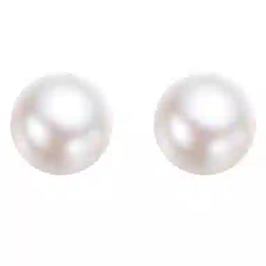 zoo jewel S925