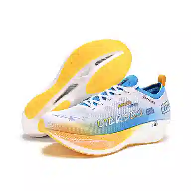 CLERSES 1000