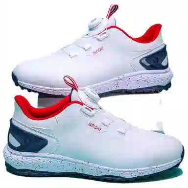 Birdie 2024
