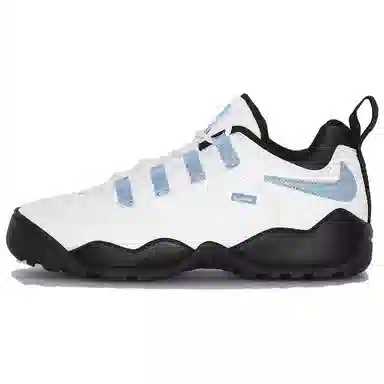 Supreme x Nike SB Darwin Low White