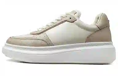THOM WILLS Trainer