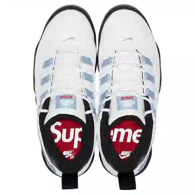 Supreme x Nike SB Darwin Low White