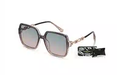 EQUIPMENT elegantins