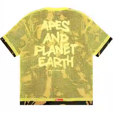 Aape T