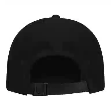 Arcteryx Cap