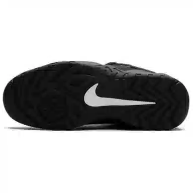 Supreme x Nike SB Darwin Low