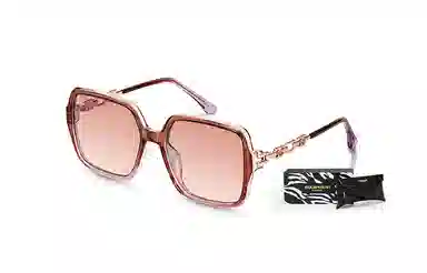 EQUIPMENT elegantins