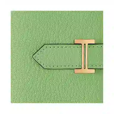 HERMES Bearn Mini Chevre Mysore 3IVert Criquet