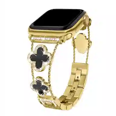 MSSM Apple Watch