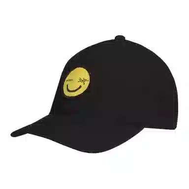 Arcteryx Cap