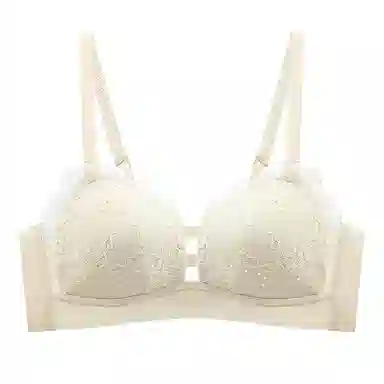 浪莎 薄款透气胸聚拢收副乳防下垂无钢圈蕾丝文胸