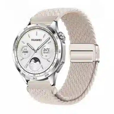 FZRT GT4gt3gt2prowatch43pro