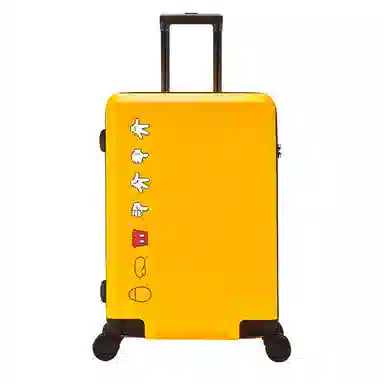 MESUCA ABS+PC 20242622