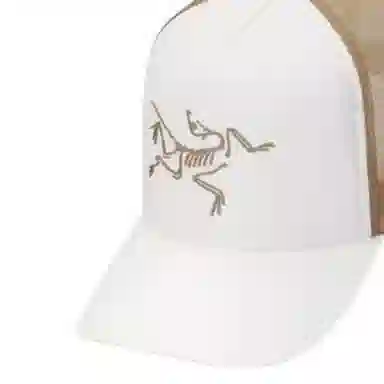 Arcteryx Logo