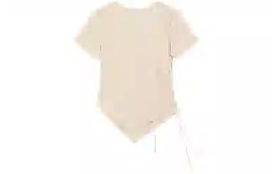 SNZX T