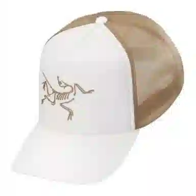 Arcteryx Logo