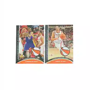 Topps 2009 patch