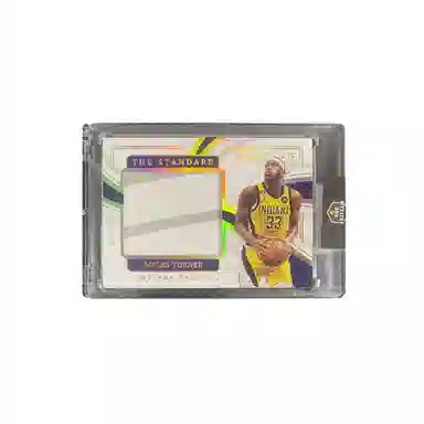 PANINI 2022-23 Imm patch