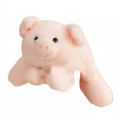 20cm