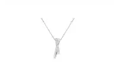 CARAT'SDIARYS999XINS