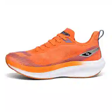 LOTTO 1