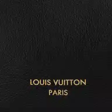 LOUIS VUITTON Low Key Hobo MM