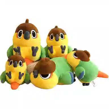 55cm
