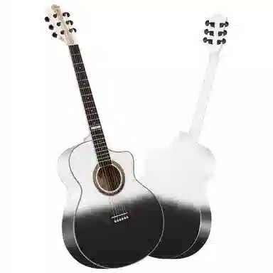 Guitarist V8