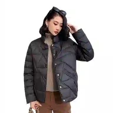鸭鸭 通勤立领纯色短款长袖羽绒服 女款