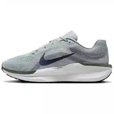 Nike AIR WINFLO 11