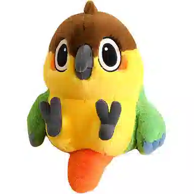 55cm