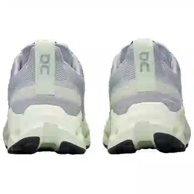 On Cloudsurfer Trail