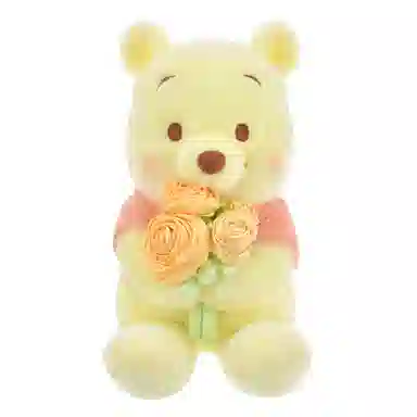 Disney store 26.3cm30.2cm