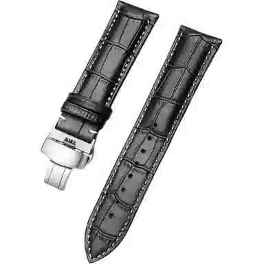 FZRT GT4WATCH43progt3GT2proGS4