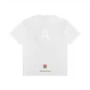 Aape T