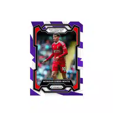 PANINI 2023-24 Panini Prizm 1