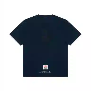 Aape T