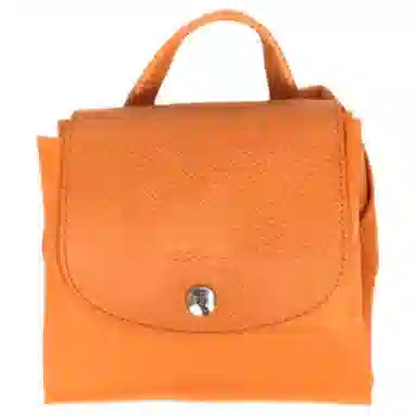 LONGCHAMP Le Pliage Green 26