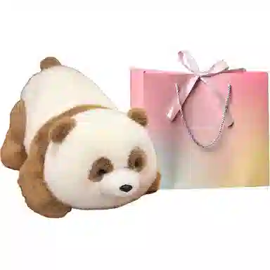25cm35cm45cm