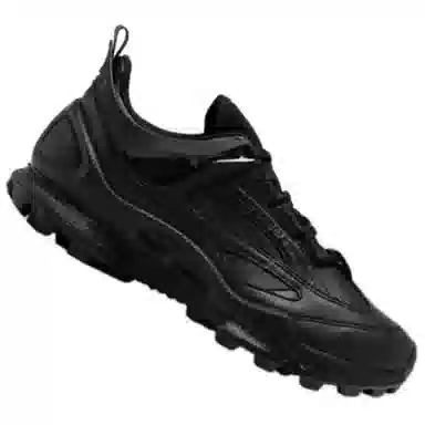 Ecco Biom C Trail